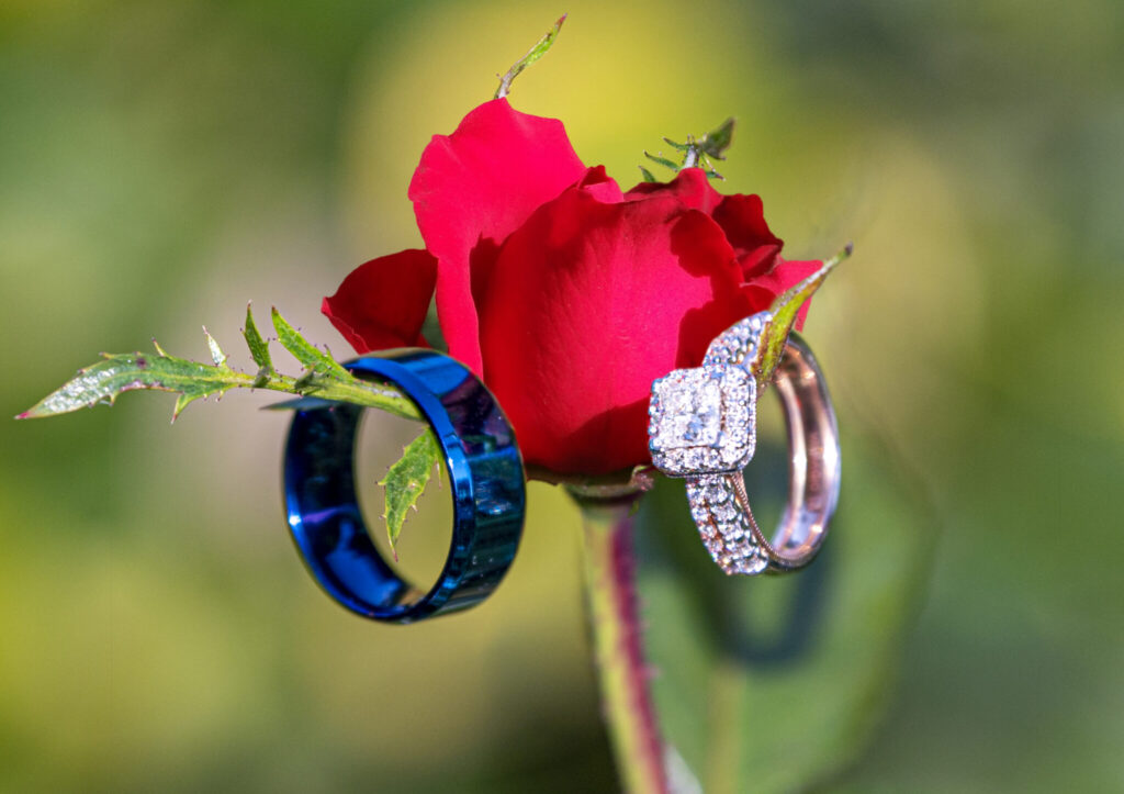 Rings on a rose